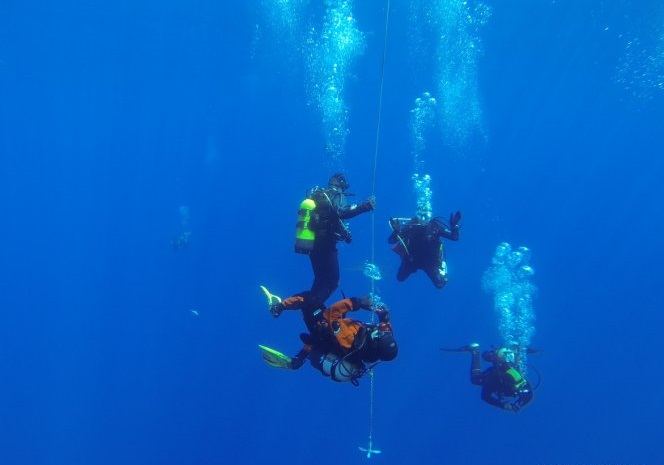 Lina opustowa nalofoty.pl