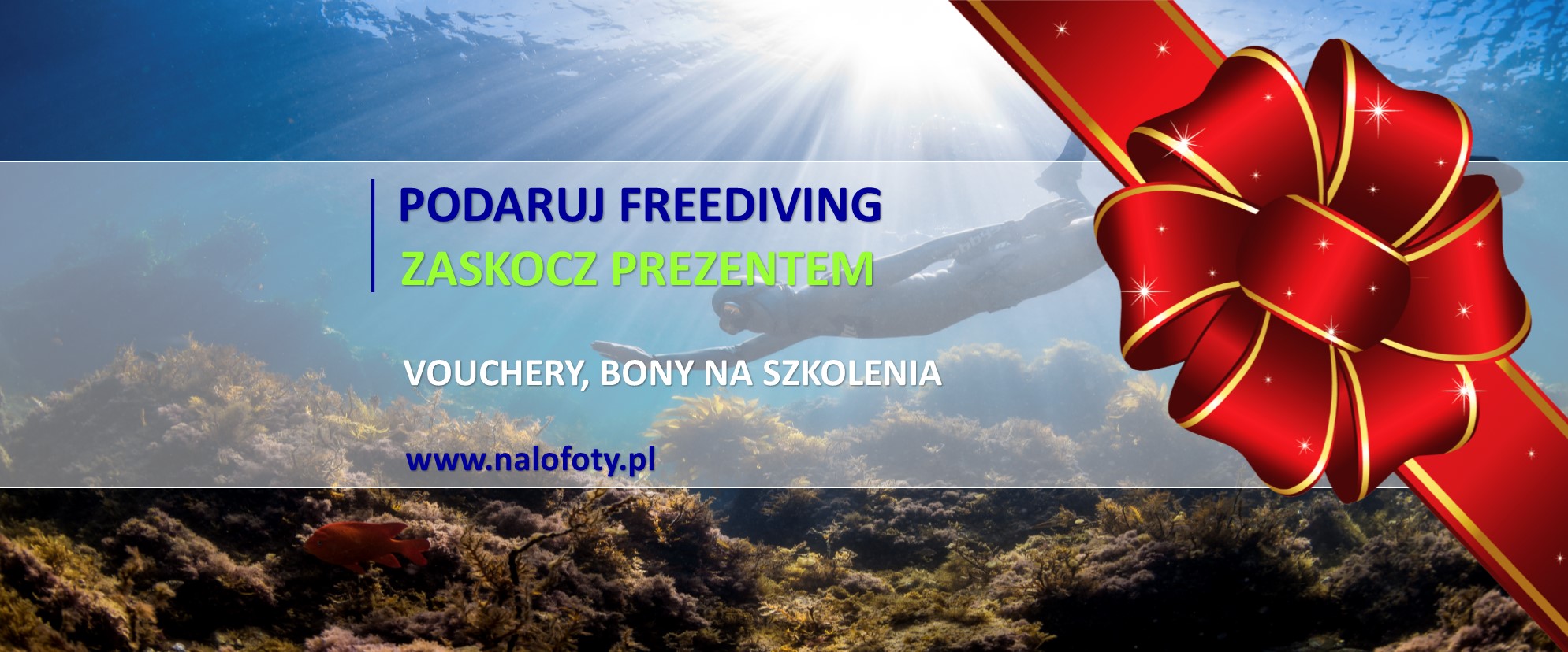 podaruj freediving, discover Freediving, kursy fredivingu, deepspot, padi freediver, voucher freediving